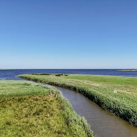C11642-bork-nordmarken-3 *